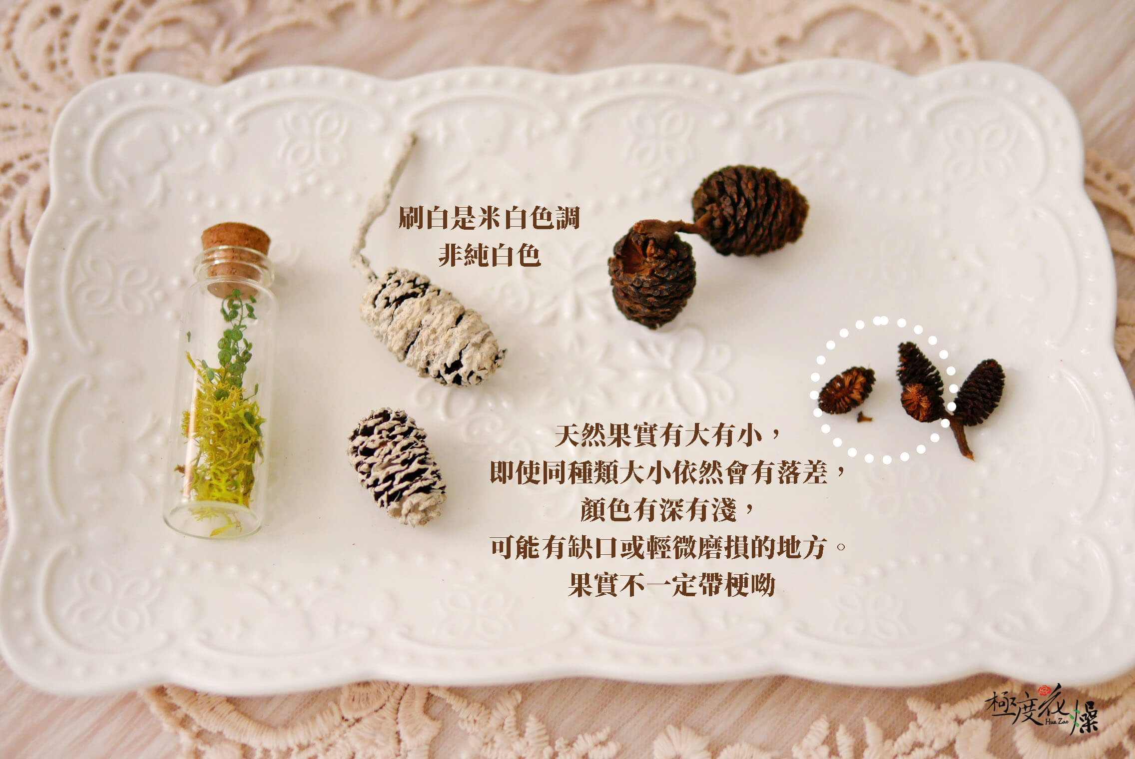 安全_水楊子 拷貝