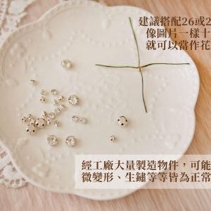 安全_水鑽裝飾 拷貝