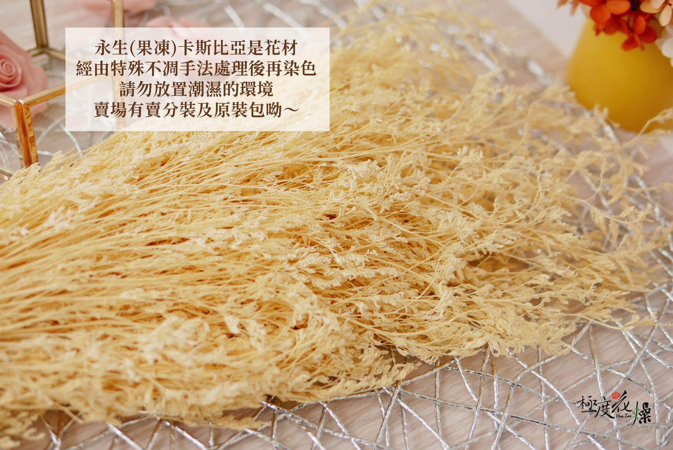 安全_永生卡斯比亞整包 拷貝