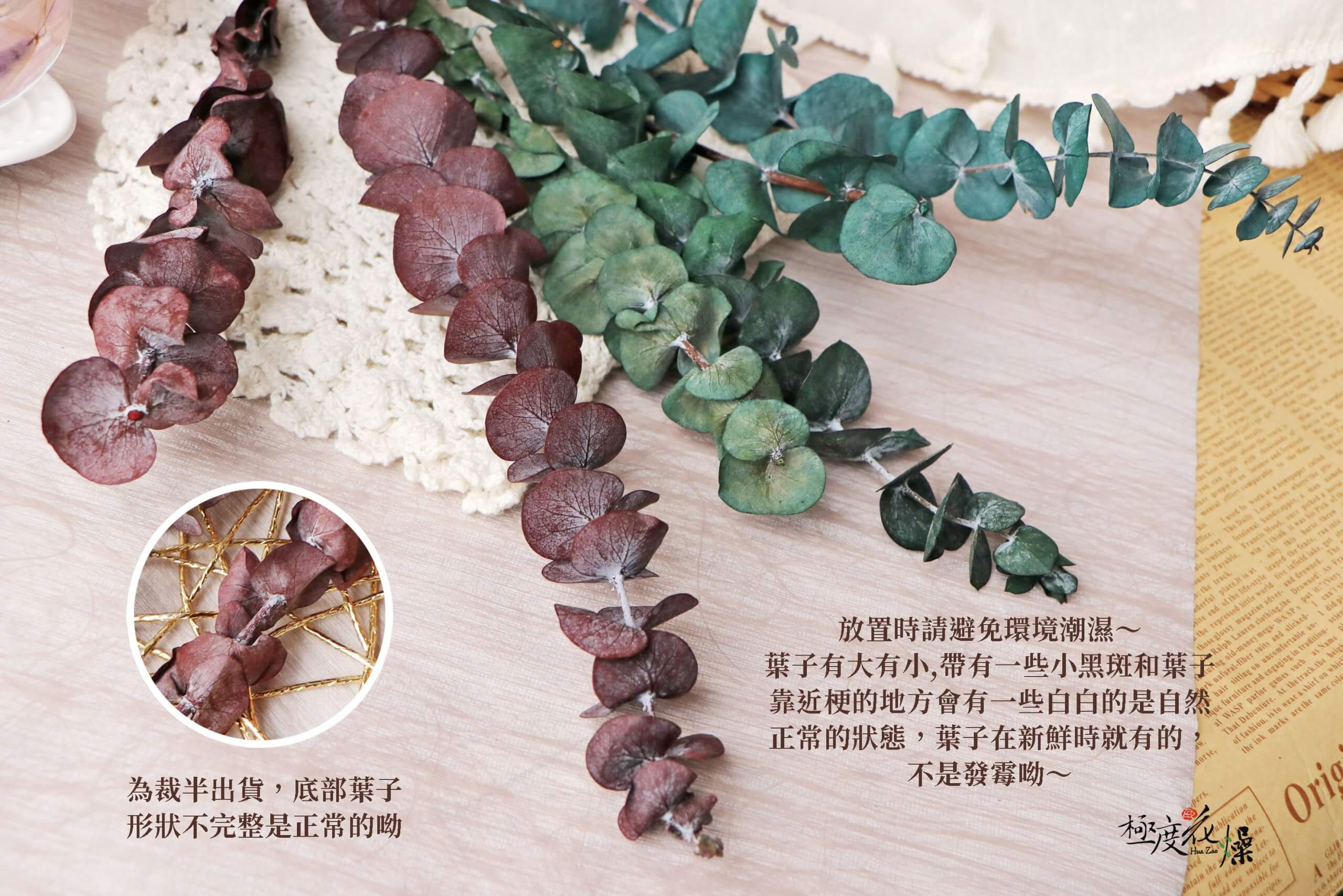 安全_永生尤加利立體 拷貝