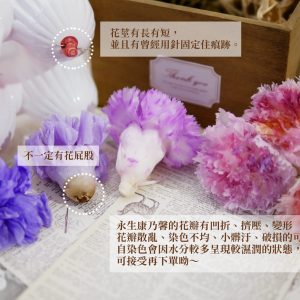 安全_永生康乃馨 拷貝