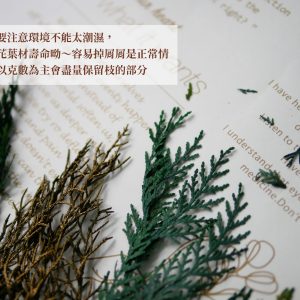 安全_永生扁柏 拷貝