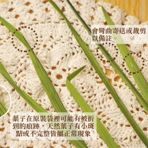 安全_永生春蘭 拷貝