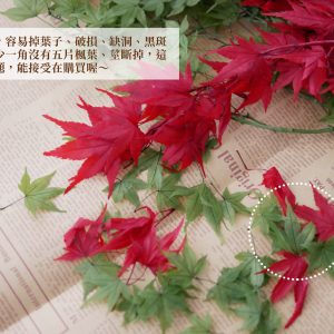 安全_永生楓葉 拷貝