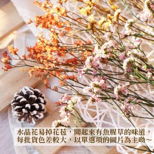 安全_永生水晶花
