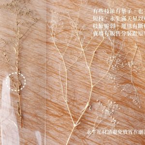 安全_永生滿天星 拷貝