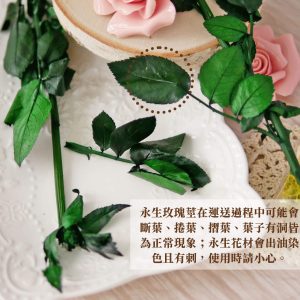 安全_永生玫瑰莖 拷貝