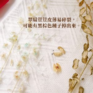 安全_永生翠扇 拷貝