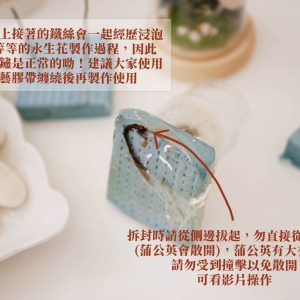 安全_永生蒲公英 拷貝