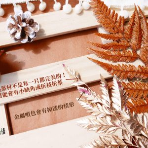 安全_永生高山羊齒和芒萁 拷貝