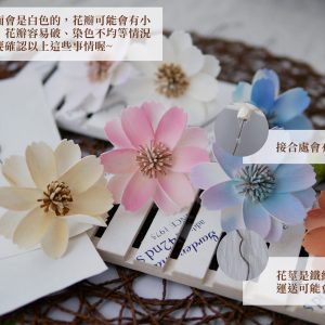 安全_波斯橘 拷貝