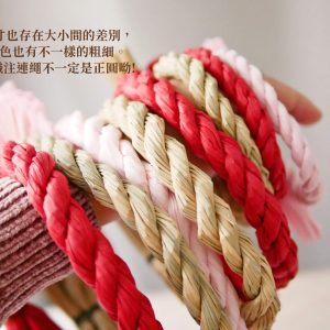 安全_注連繩 拷貝