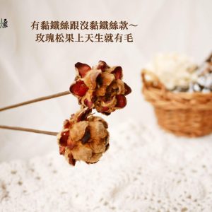 安全_玫瑰松果 拷貝
