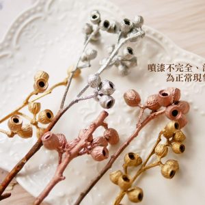 安全_琥珀果 拷貝