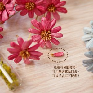 安全_瑪格麗特 拷貝