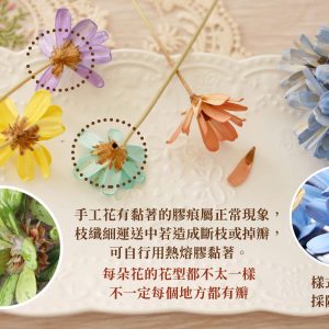安全_瓜子花 拷貝