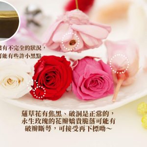安全_盆架桌花材料包
