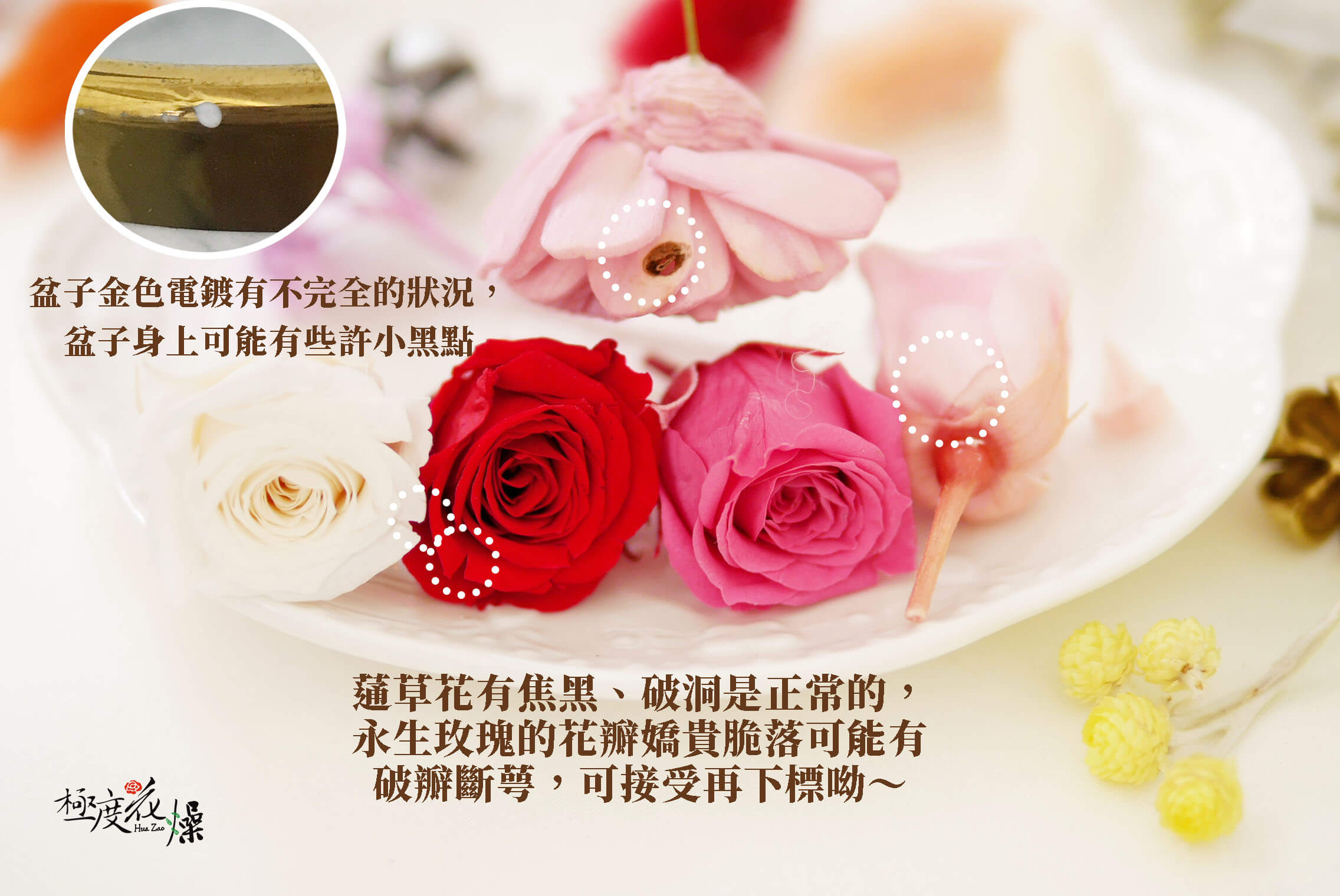 安全_盆架桌花材料包 安全_盆架桌花材料包
