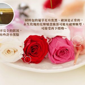 安全_盆架桌花材料包拷貝 拷貝