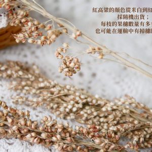 安全_紅高粱 拷貝