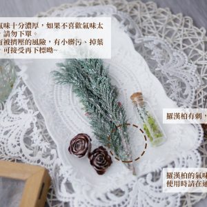 安全_羅漢伯 拷貝
