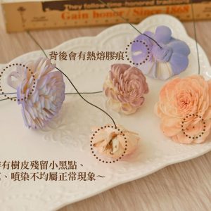 安全_花燥太陽玫瑰 拷貝