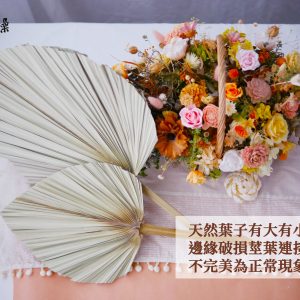 安全_蒲扇葉 拷貝