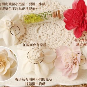 安全_蓪草梔子花 拷貝