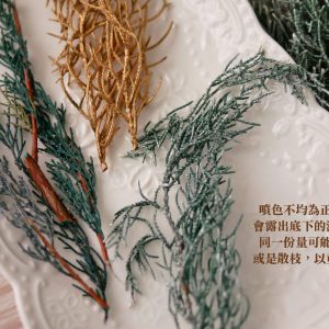 安全_藍冰柏 拷貝