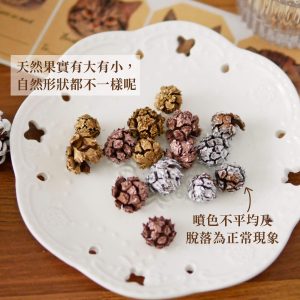 安全_足球果 拷貝