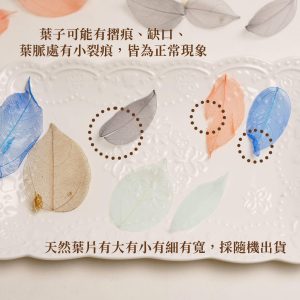 安全_透明葉脈