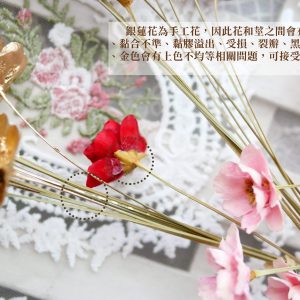 安全_銀蓮花 拷貝