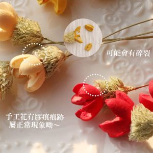 安全_開心果花 拷貝