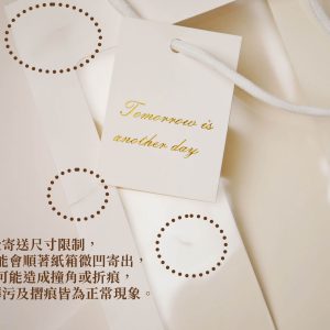 安全_開窗手提袋 拷貝