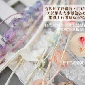 安全_風鈴果