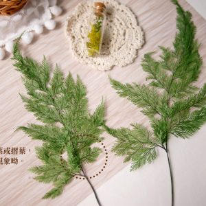 安全_麗莎蕨 拷貝