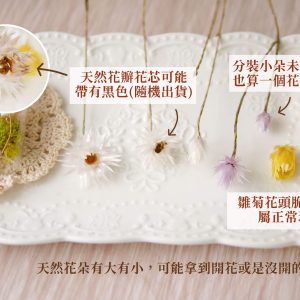 安全一_小銀雛菊 拷貝