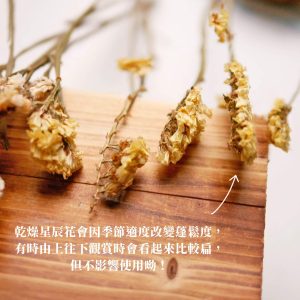 安全二_乾燥星辰 拷貝