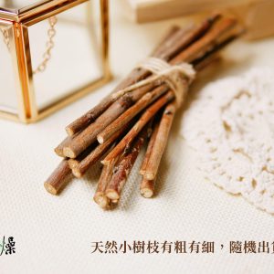 安全二_小木棍木堆 拷貝