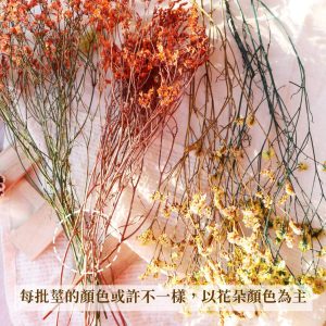 安全二_永生水晶花