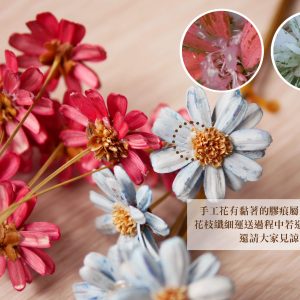 安全二_瑪格麗特 拷貝