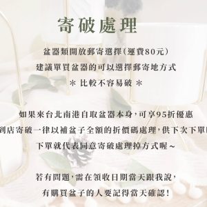 安全二_陶瓷圓盆