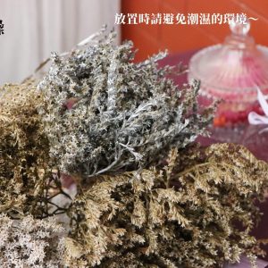 安全圖_雪花
