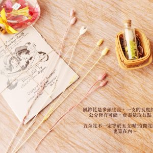 安全圖_風鈴花