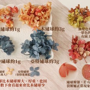 安全圖 _暖色繡球