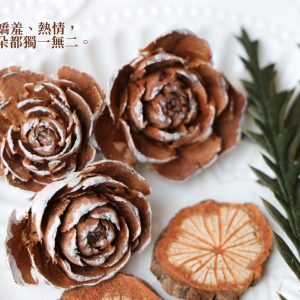 安全圖 _杉玫瑰