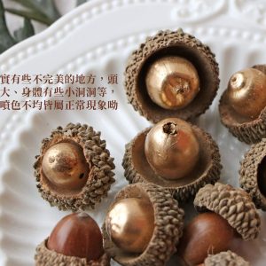 安全圖 _橡實