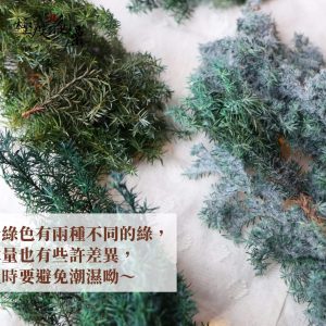 安全圖 _永生雪松