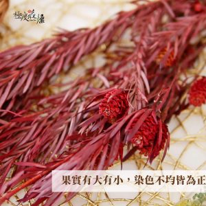 安全圖 _陽光果