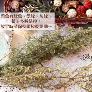安全圖 _鹿角草